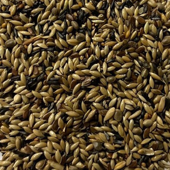 DAILY BIRDS - POSTUUR KANARIEZAAD-20KG-ZONDER RAAPZAAD-KWEEK-GEEN KLEURPIGMENTERING