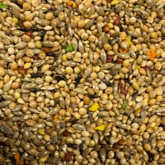 TROPISCH SPECIAL-20KG-PRACHTVINKEN-ZEBRAVINKEN-GOULD AMADINES-SPITSSTAARTEN