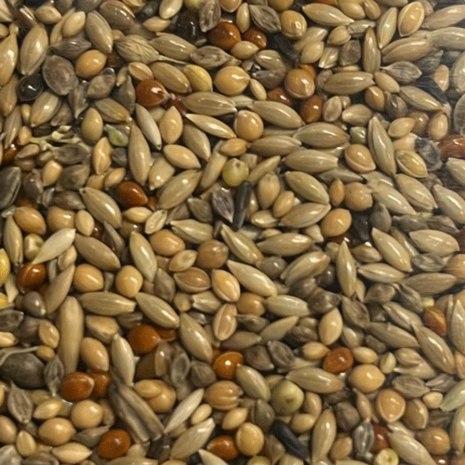 GRASPARKIETENZAAD SUPER KWEEK-20KG-GRASPARKIET-EXTRA FIJNE ZADEN-OPGROEI