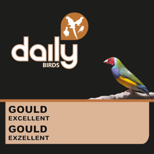 Daily birds - Gould Excellent - 4KG - Gold amandine - japansmeeuwtje - zilverbekje - Spitsstaartamadine