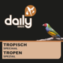 TROPISCH SPECIAL-2KG-PRACHTVINKEN-ZEBRAVINKEN-GOULD AMADINES-SPITSSTAARTEN