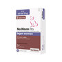 No Worm - Pro Kleine Kat & Kitten - ontwormen - lintworm - spoelworm - haakworm - vossenlintworm - hartworm