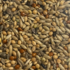GRASPARKIETENZAAD SUPER KWEEK-2KG-GRASPARKIET-EXTRA FIJNE ZADEN-OPGROEI_