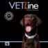 VETLINE - Puur Kipfilet Strips Hond - 200 gram_